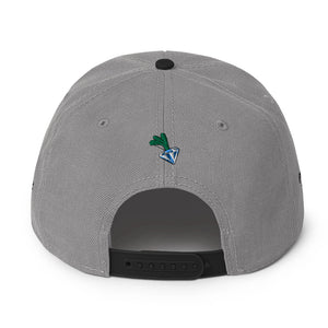 DEFEND Snapback Hat