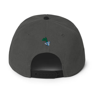 DEFEND Snapback Hat