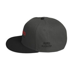 DEFEND Snapback Hat