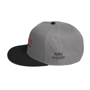 DEFEND Snapback Hat