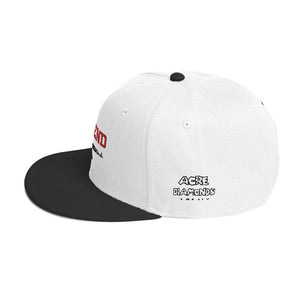 DEFEND Snapback Hat